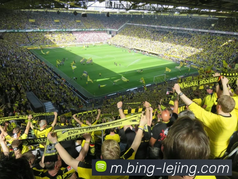 多媒体互动体验